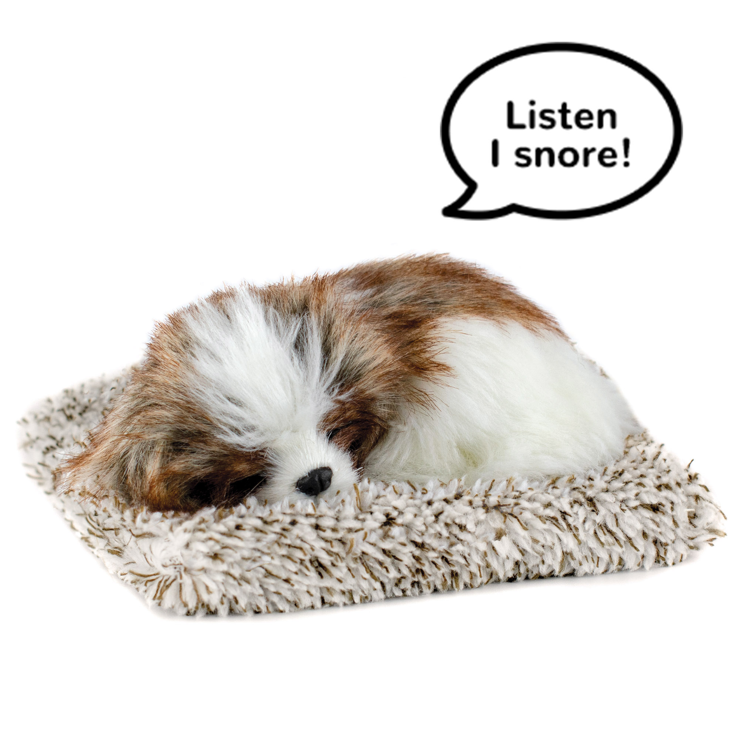 Mini - Shih Tzu