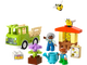 10419 Caring For Bees & Beehive