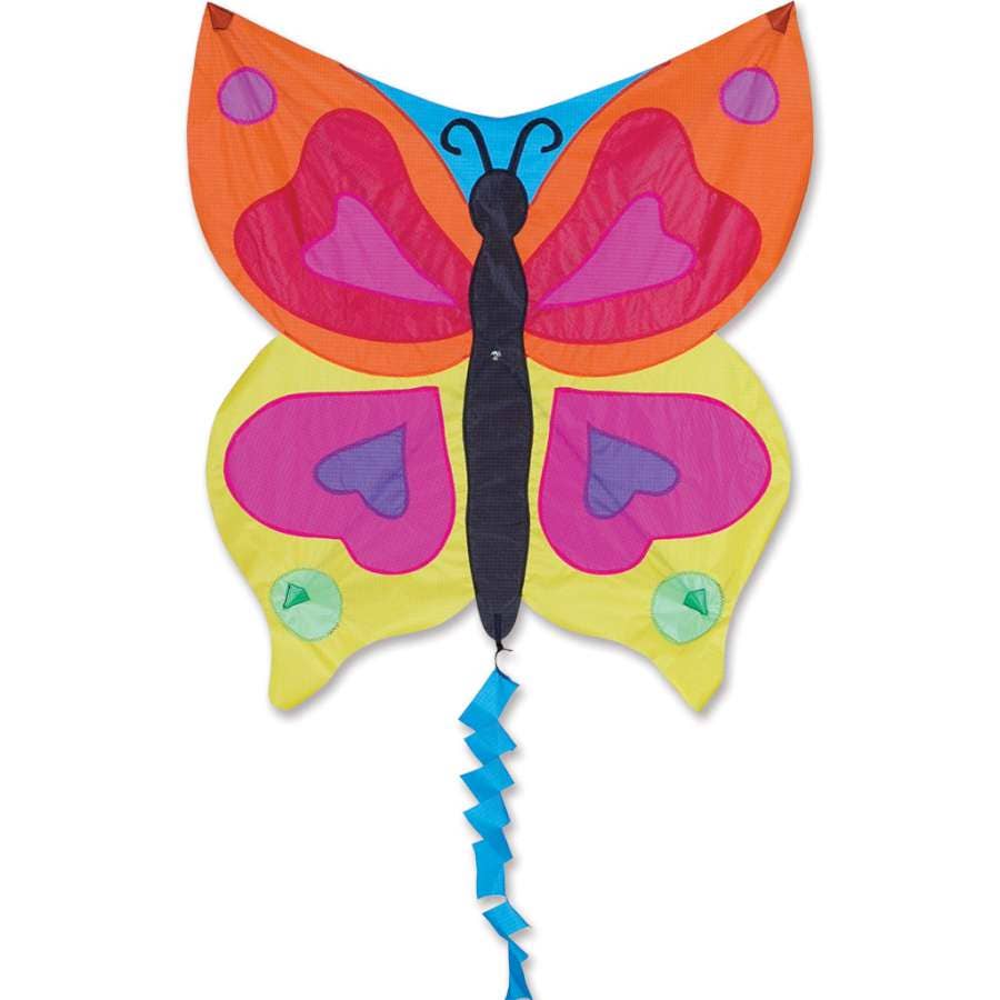 Fun Flyer - Rainbow Butterfly Kite