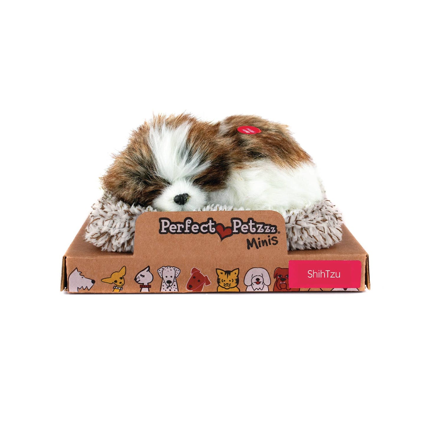 Mini - Shih Tzu