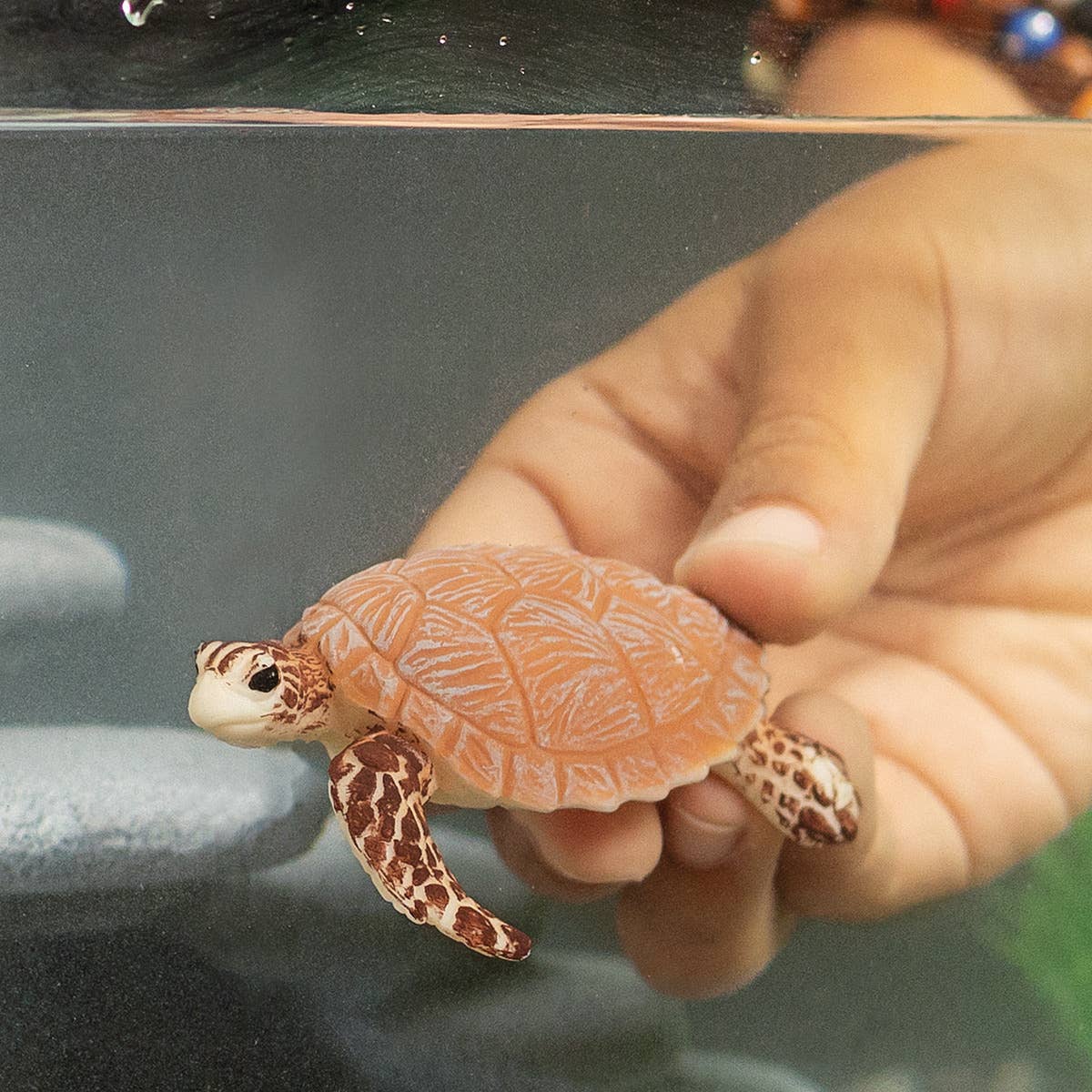 Hawskbill Sea Turtle Ocean Animal Toy