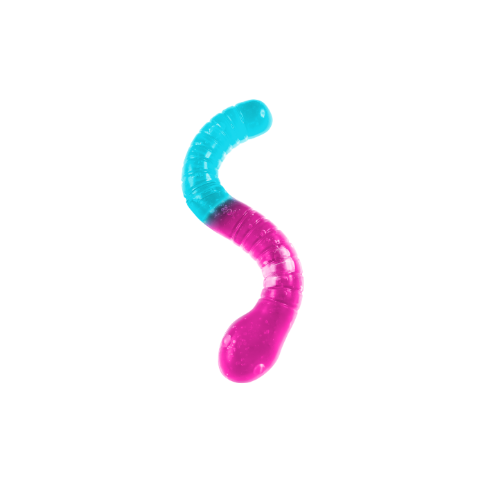 Squishi Gummy Wormz