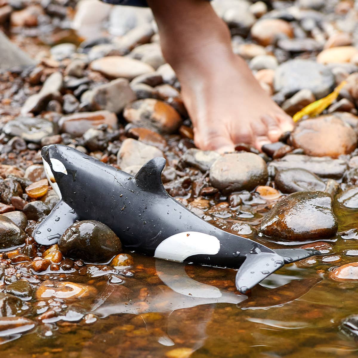 Killer Whale Ocean Animal Toy