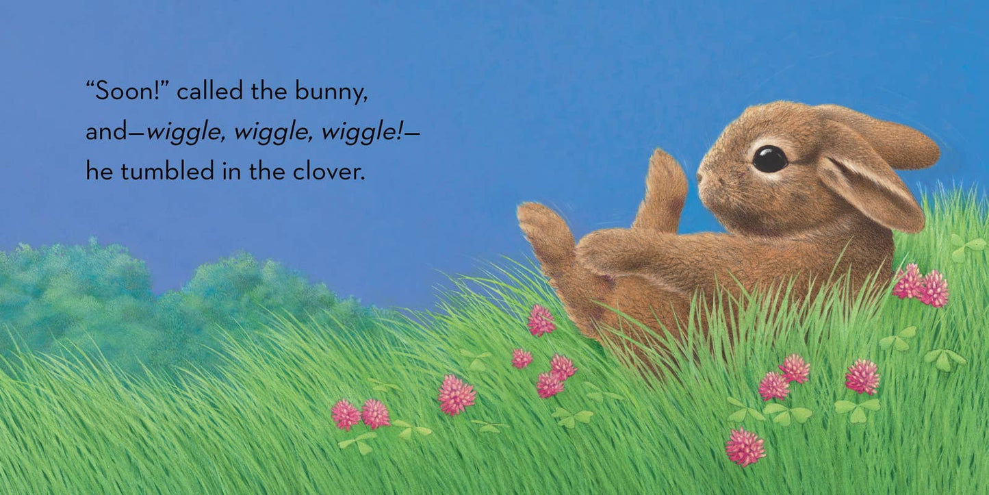 Little Bunny by Lauren Thompson