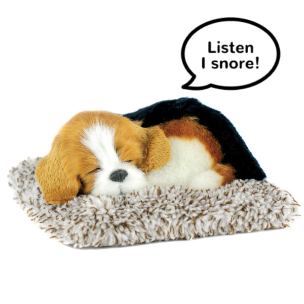 Mini - Beagle