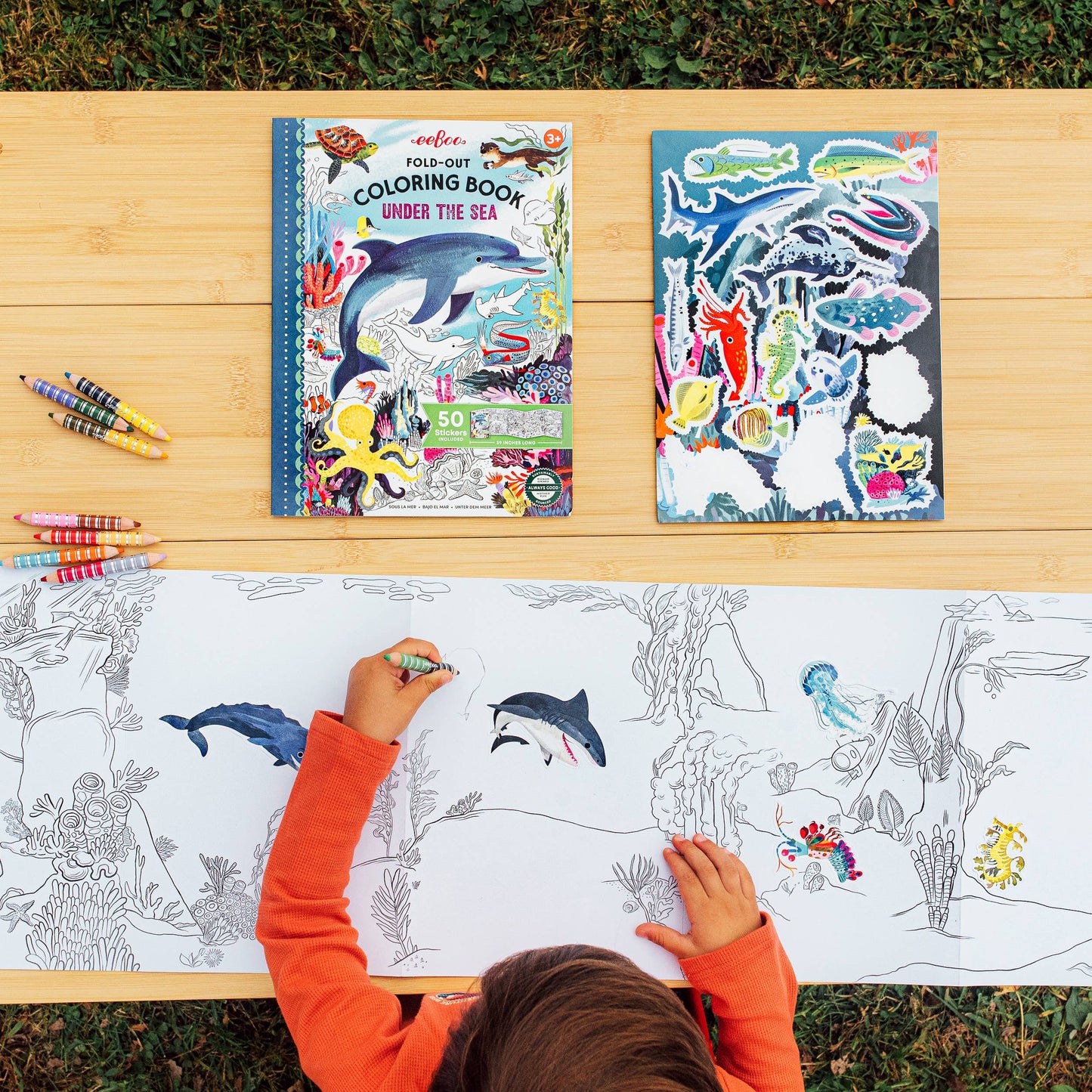 Under the Sea Fold-Out Coloring Book with Stickers
