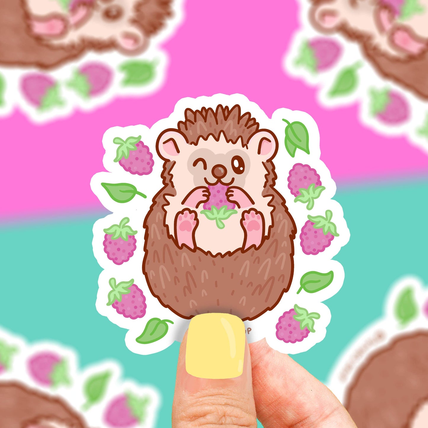 Hedgehog Animal Pet Store Vinyl Sticker