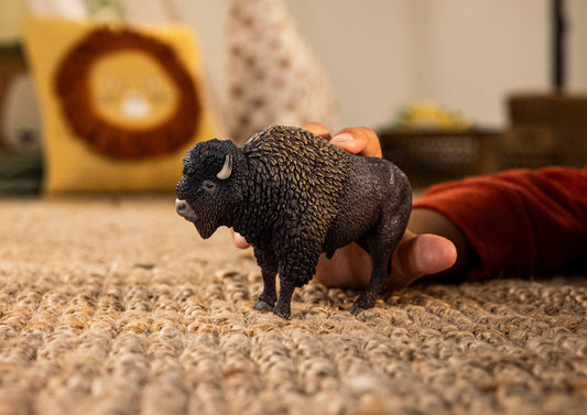 Bison