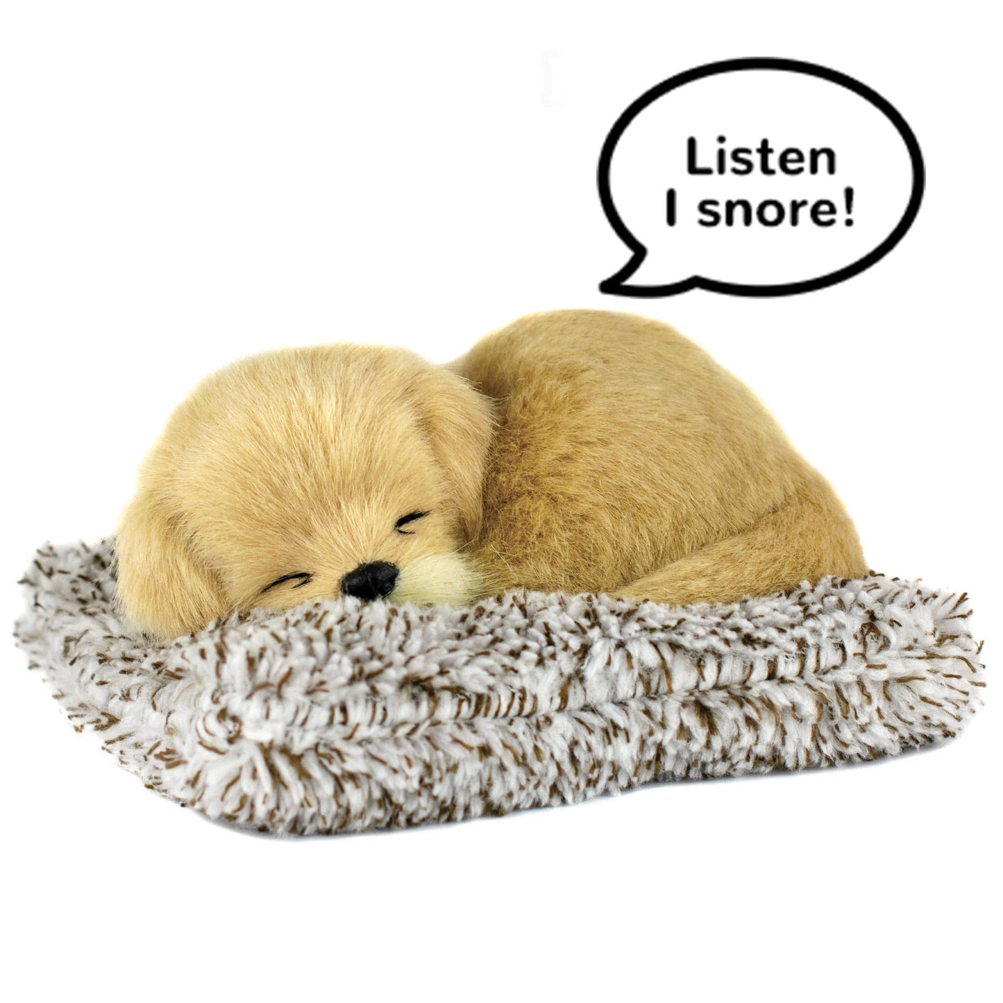 Mini - Golden Retriever