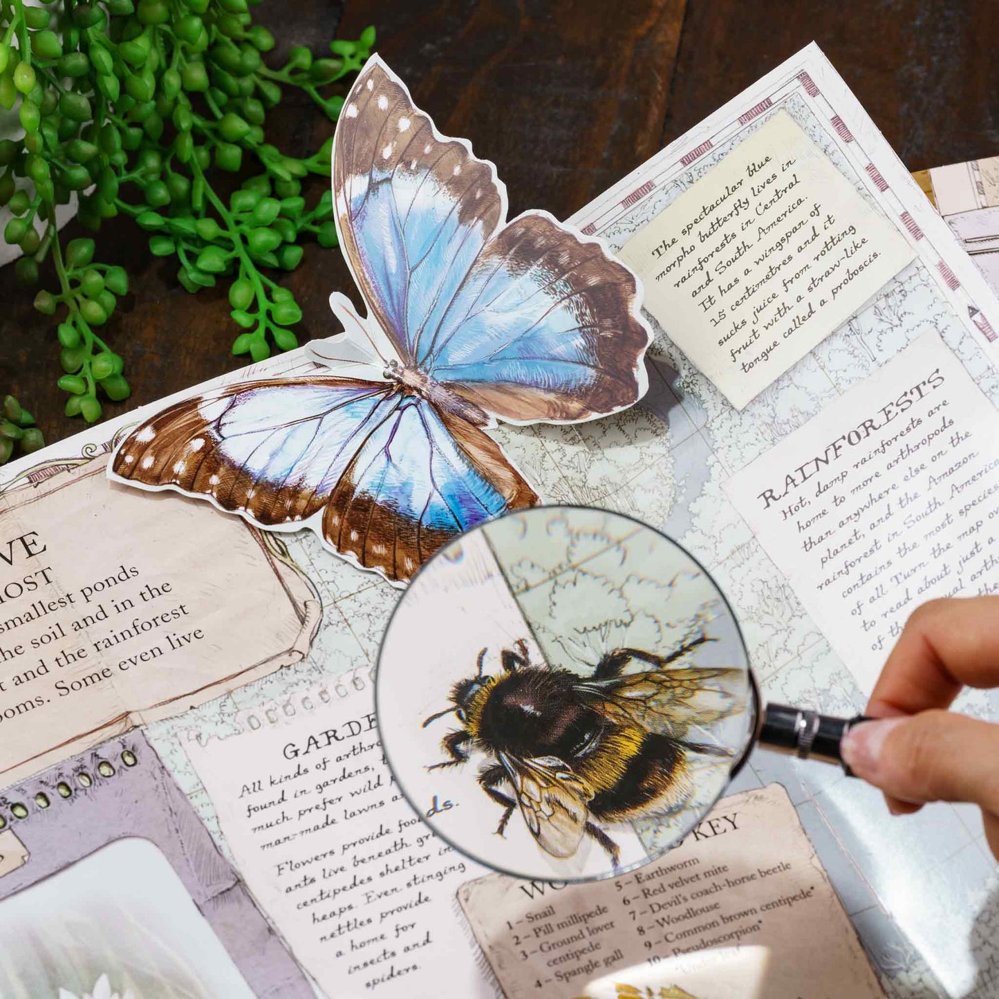 Sherlock Magnifier 75mm Scientific Tool