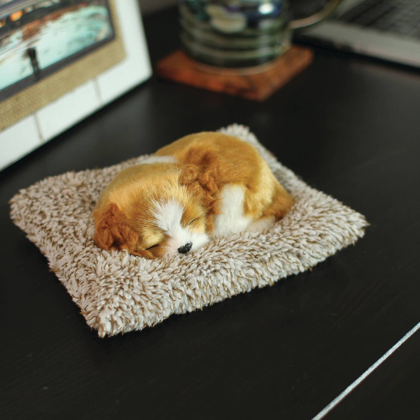 Mini - Beagle