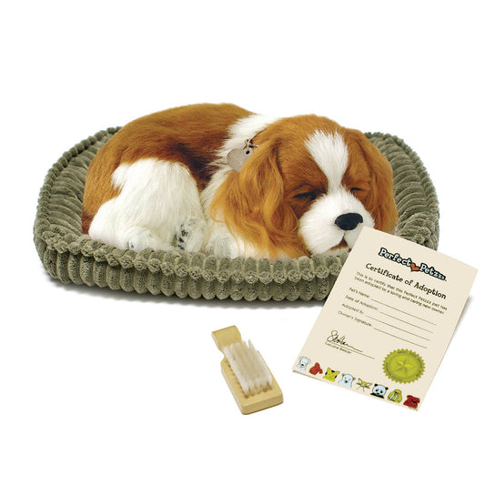 Original - Cavalier King Charles