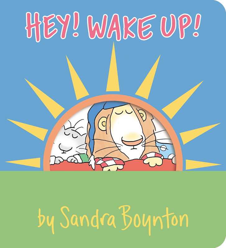 Hey! Wake Up! by Sandra Boynton