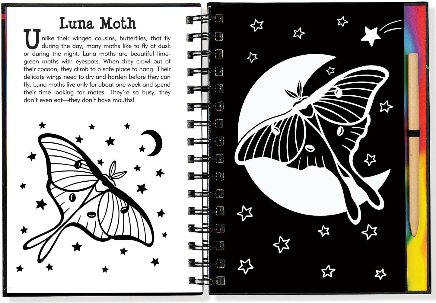 Scratch & Sketch™ Butterflies & Friends (Trace Along)