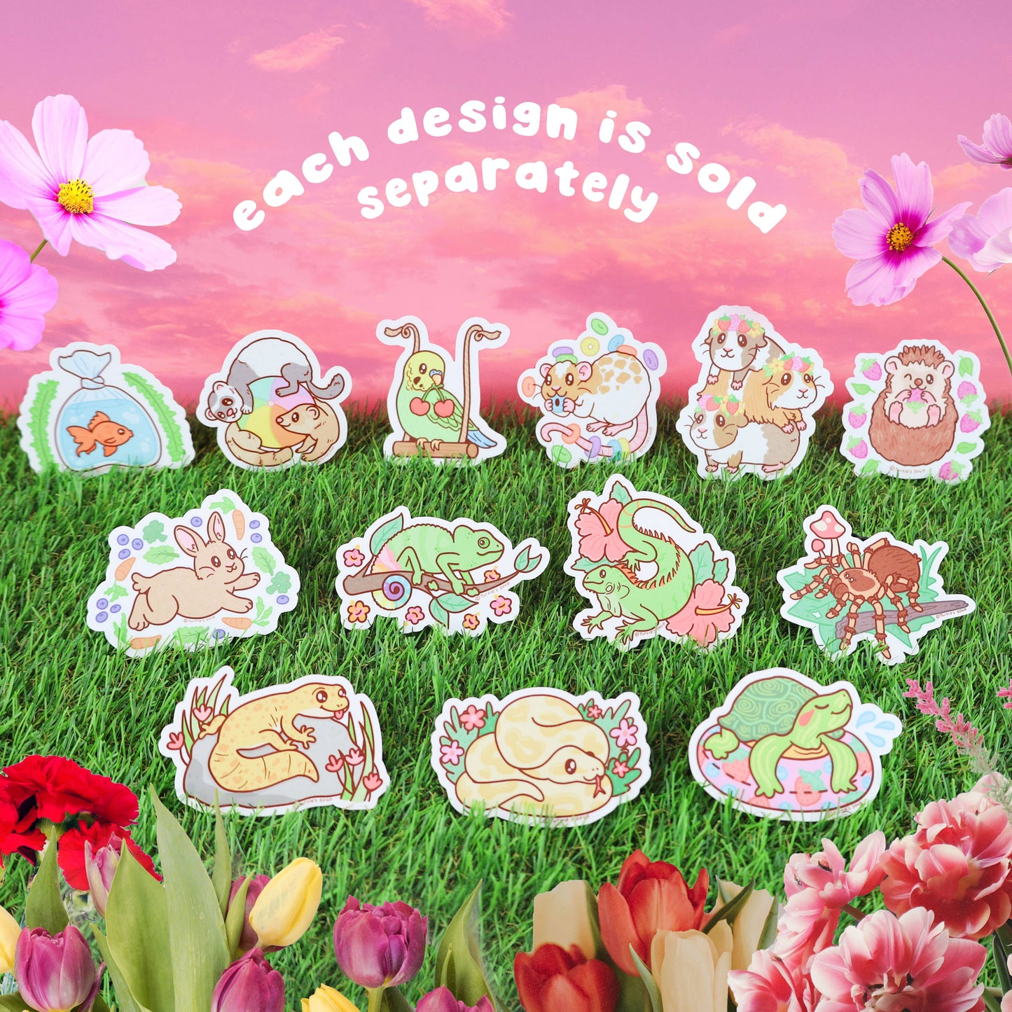 Hedgehog Animal Pet Store Vinyl Sticker
