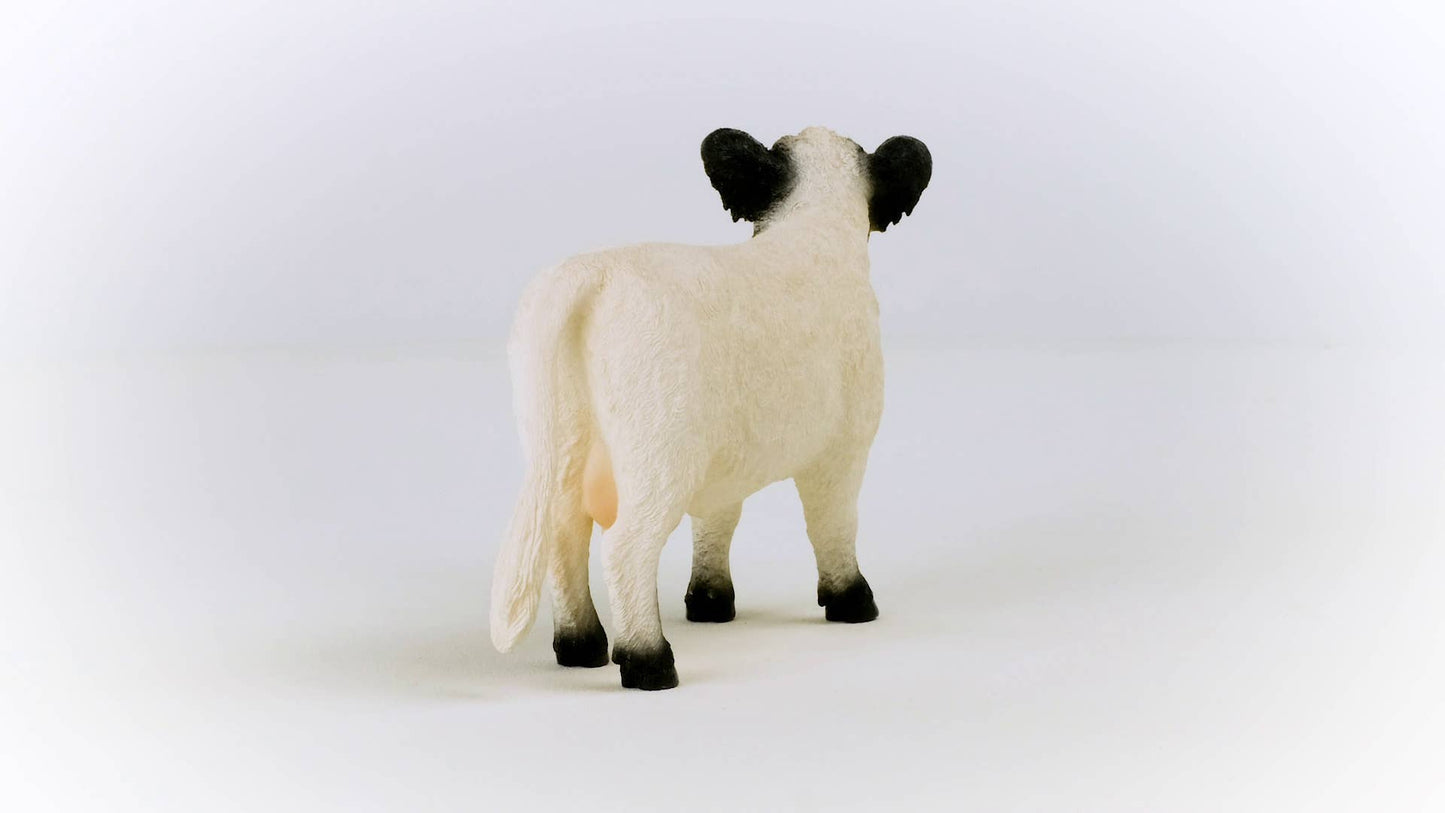 Galloway Cattle Farm Toy
