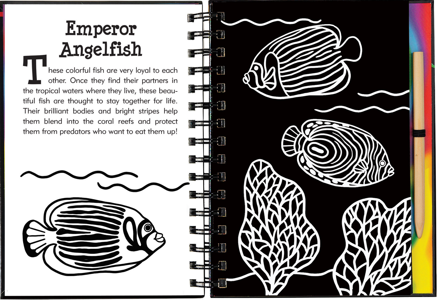 Scratch & Sketch™ Under the Sea (Trace Along)