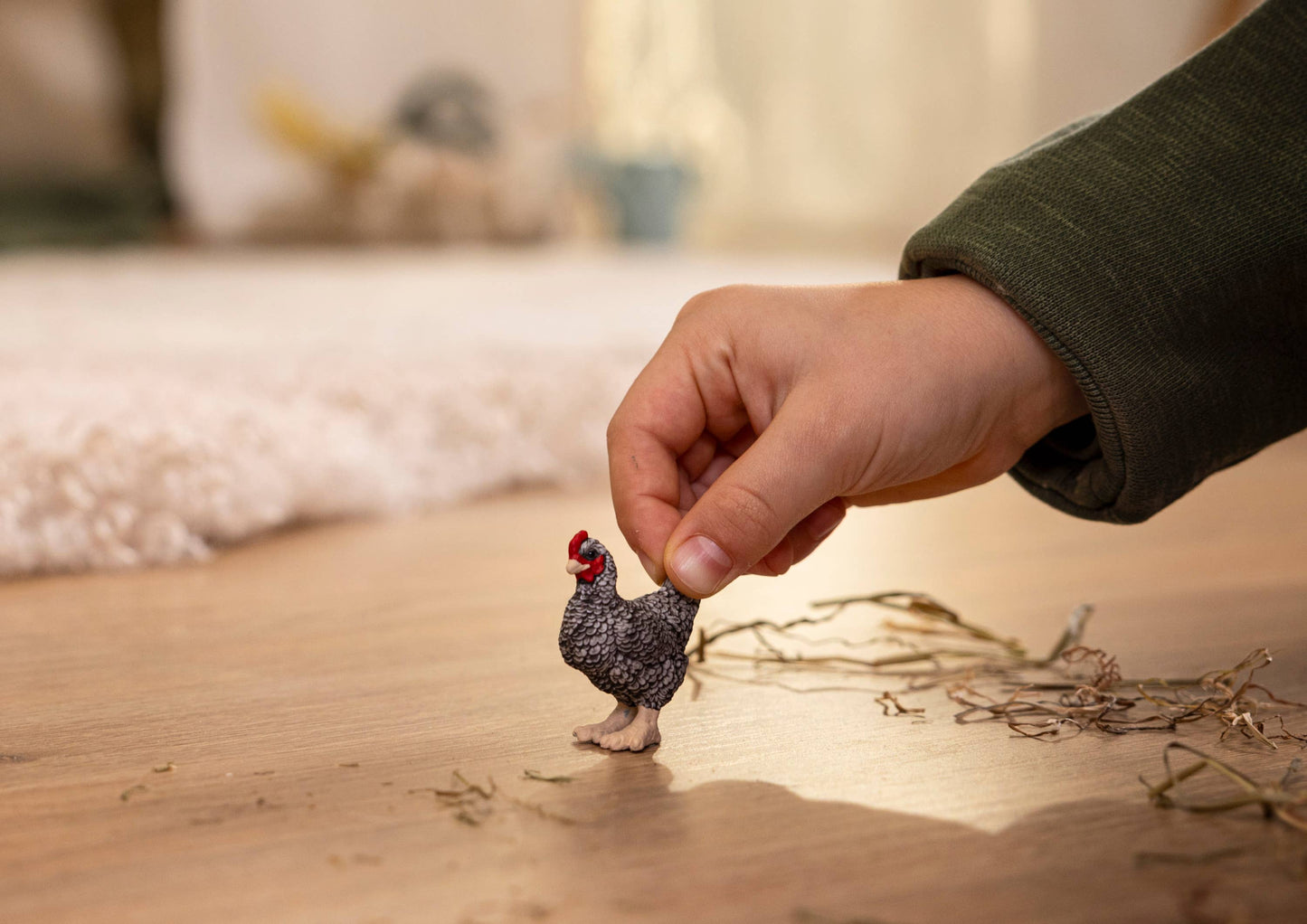 Plymouth Rock Chicken