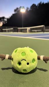 Amuseables Sports Pickleball