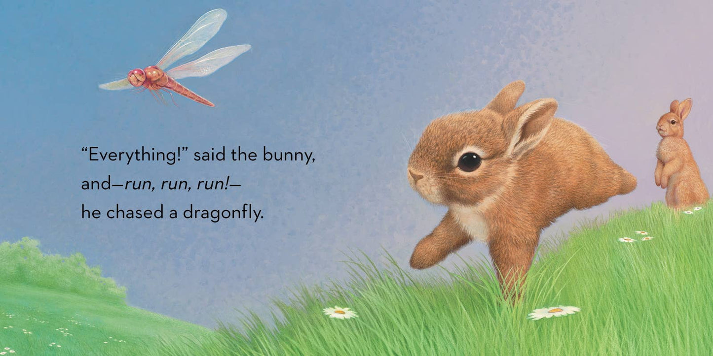 Little Bunny by Lauren Thompson