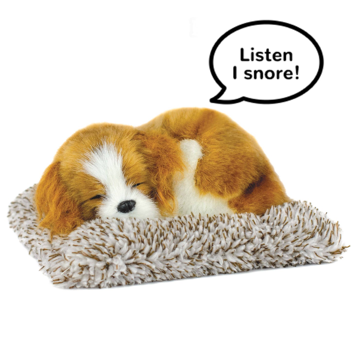 Mini  - Cavalier King Charles