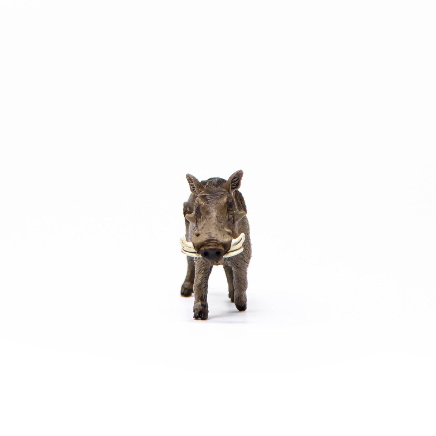 Warthog Safari Animal Toy