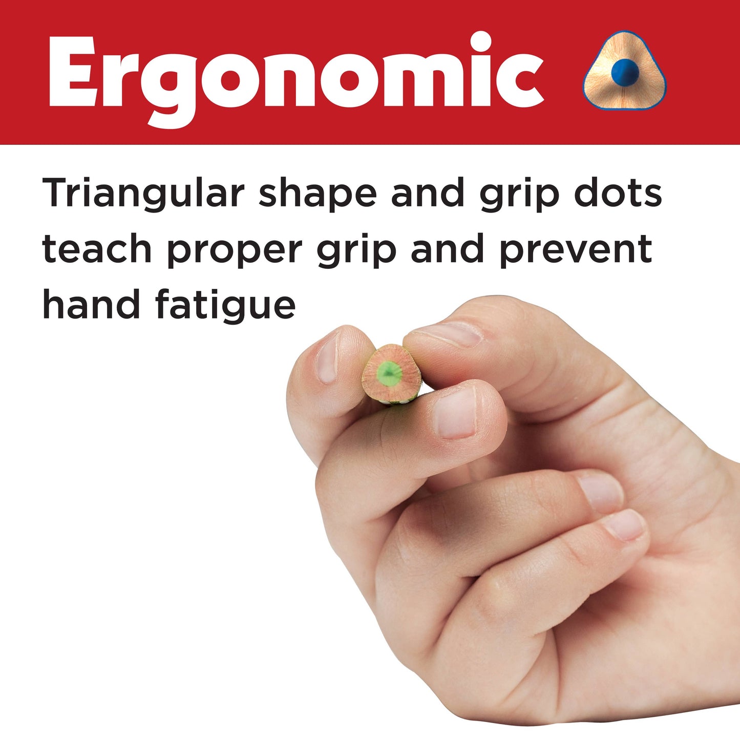 12 Grip EcoPencils - Colored Pencils w/ Raised Grip