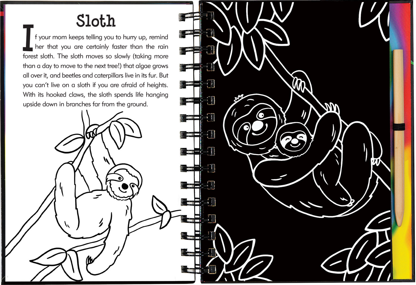 Scratch & Sketch™ Rain Forest (Trace Along)