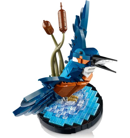 10331 Kingfisher Bird