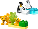 10442 Wild Animal Families: Penguins & Lions