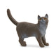 British Shorthair Cat Toy