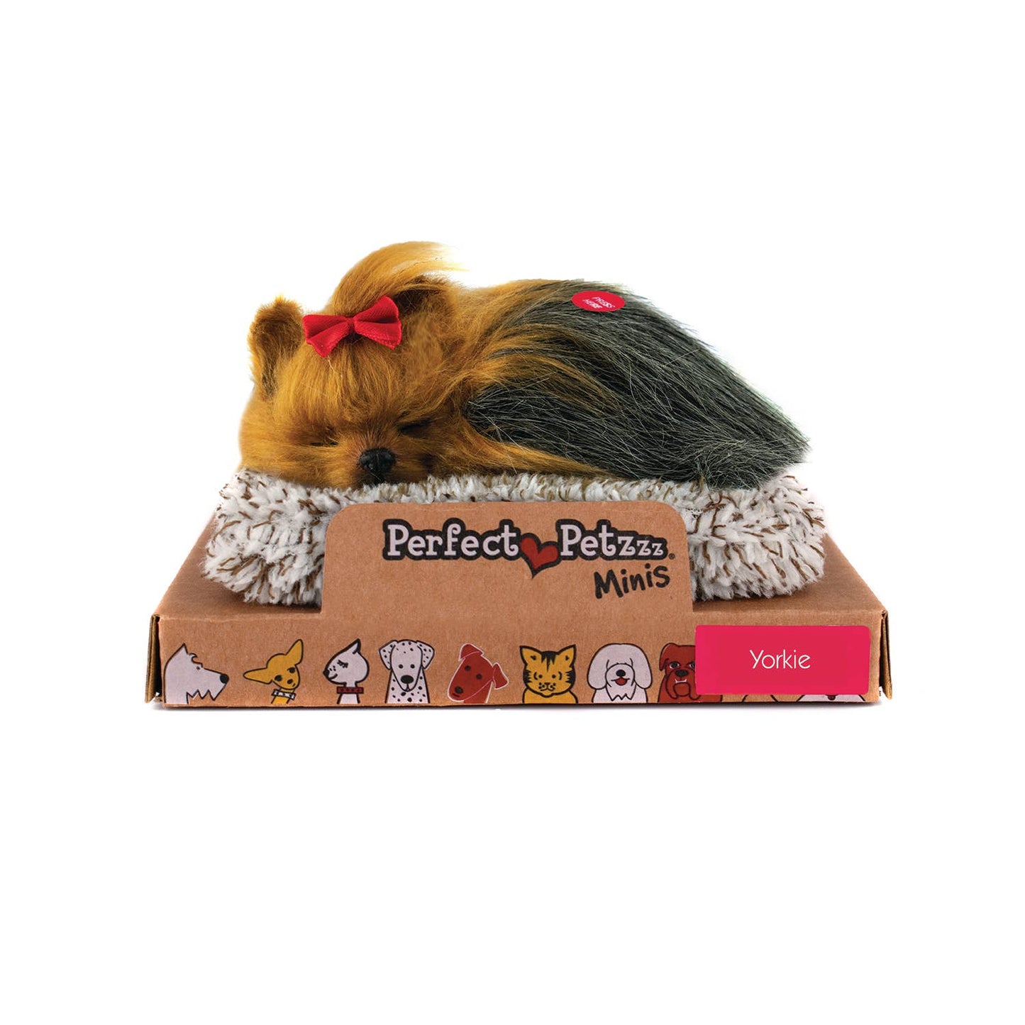 Mini - Yorkie