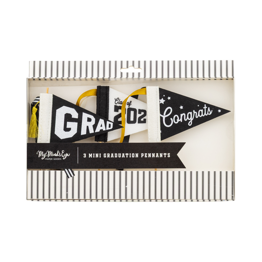 PLHB498 - Black Graduation Felt Pennant Banner Set