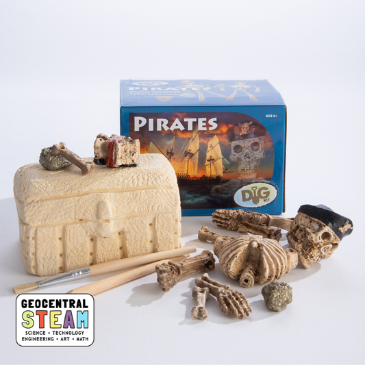 Dig Kit: Pirate Skeleton