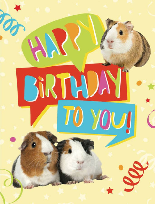 Birthday Guinea Pigs - Gift Enclosure