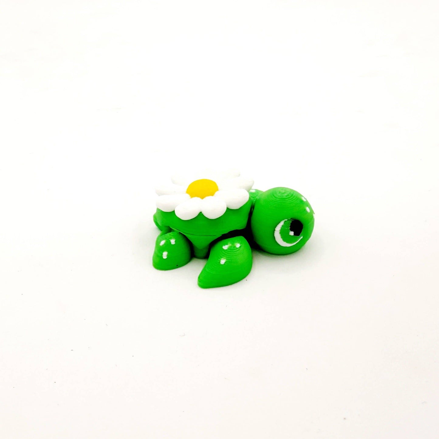 1PC Assorted Mystery Mini Turtle Eggs