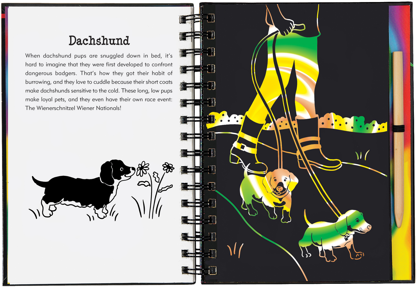 Scratch & Sketch™ Puppies (Trace Along)