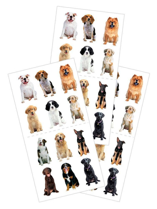 Mini Mixed Dogs Sticker - Flat Design