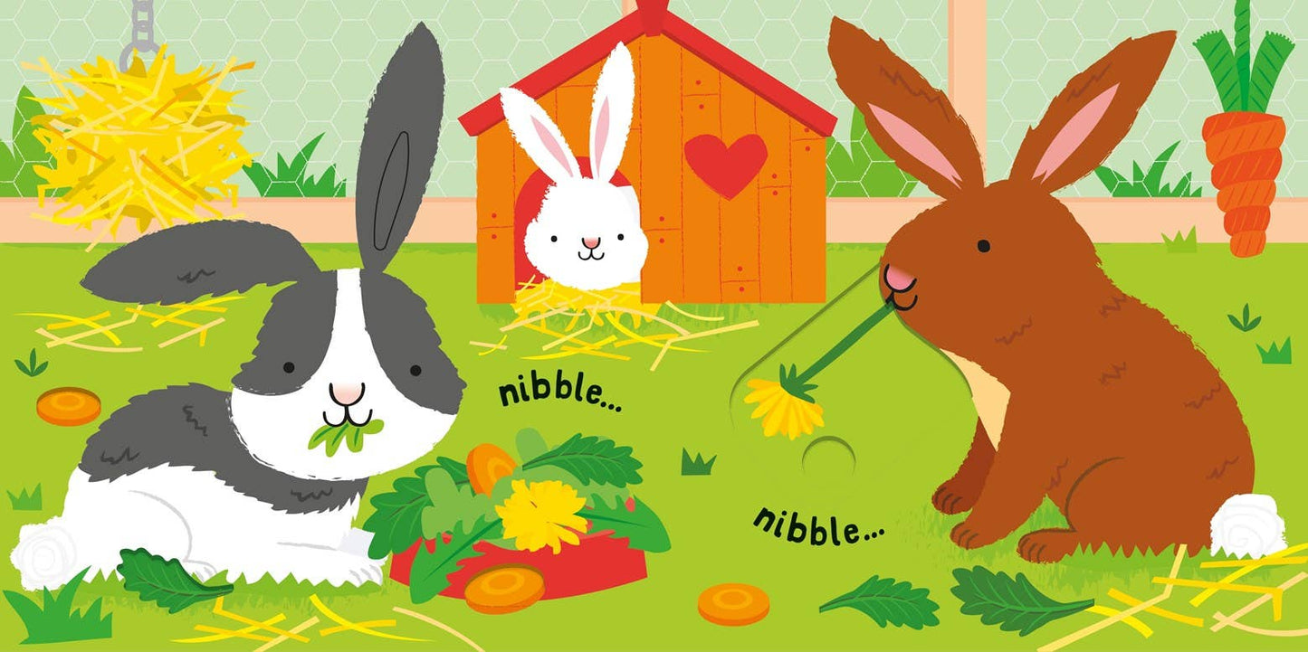 Slide And See Pets board book : Usborne