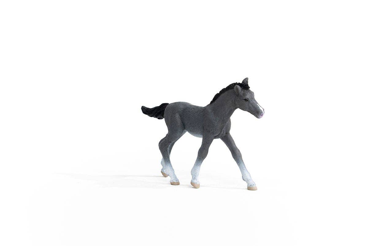 Trakehner Foal Horse Toy Figurine