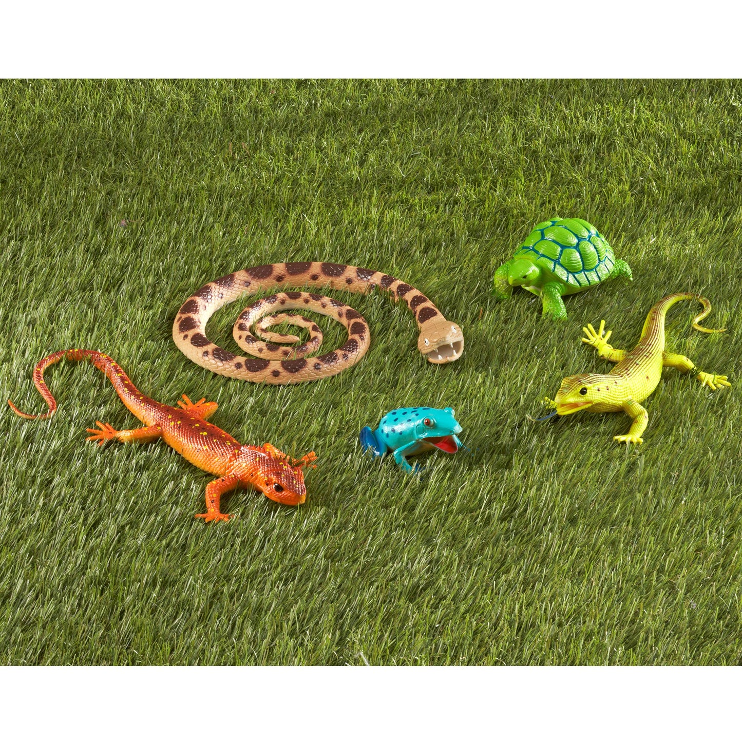 Jumbo Reptiles & Amphibians