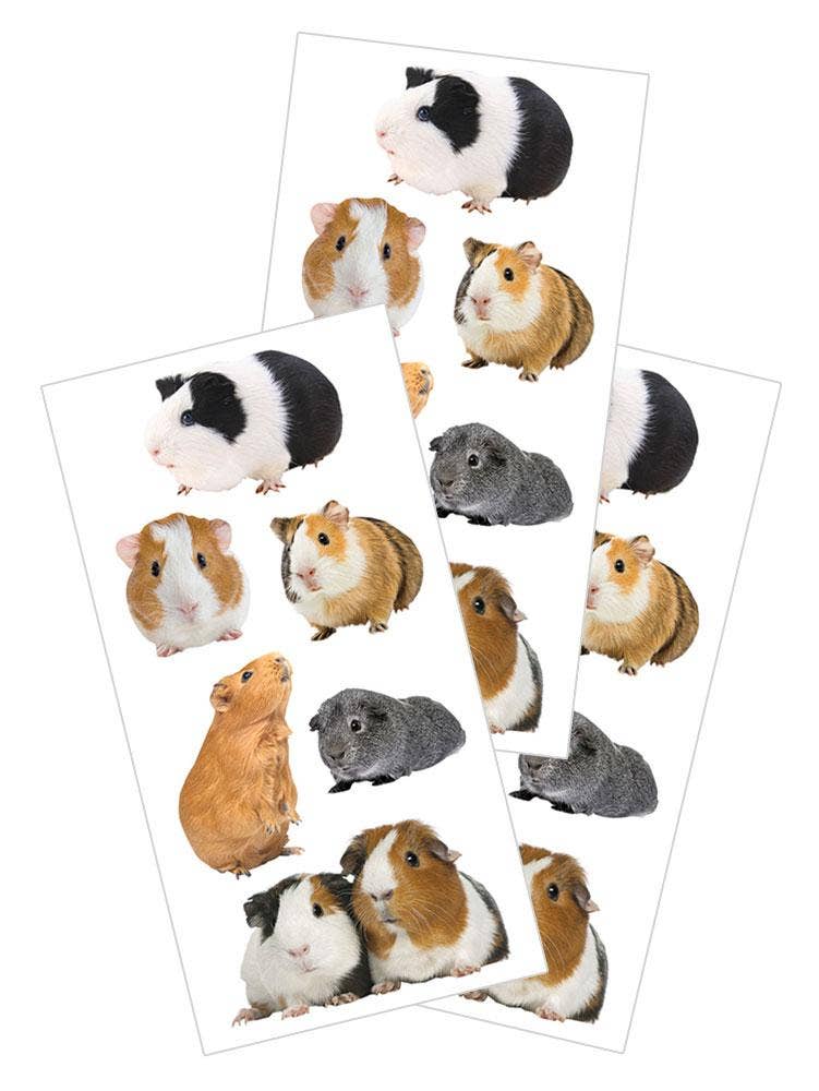Guinea Pigs Sticker