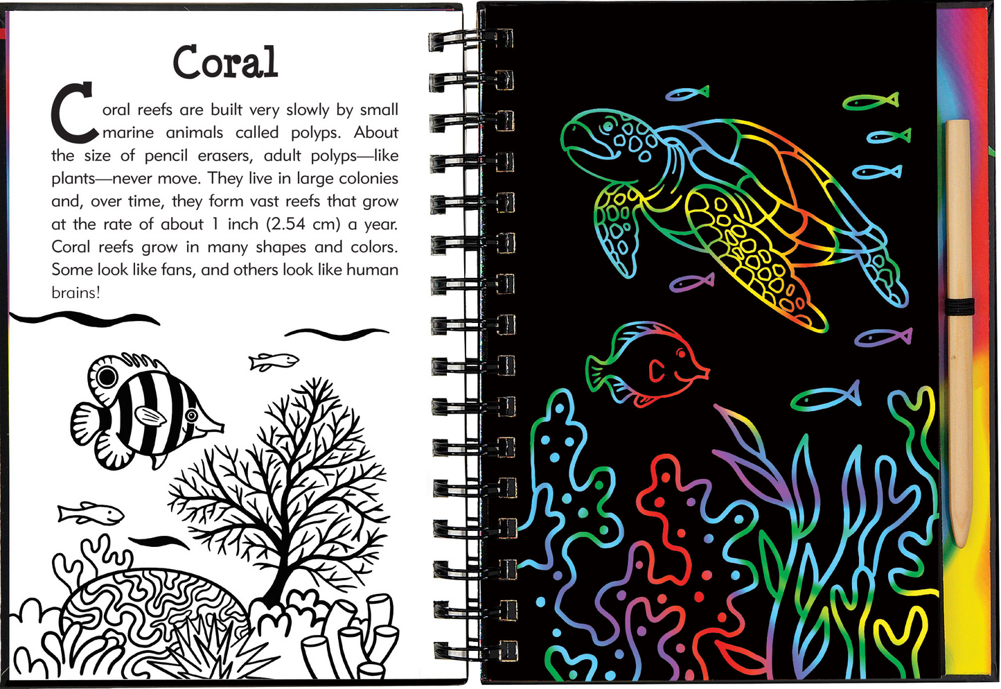 Scratch & Sketch™ Under the Sea (Trace Along)