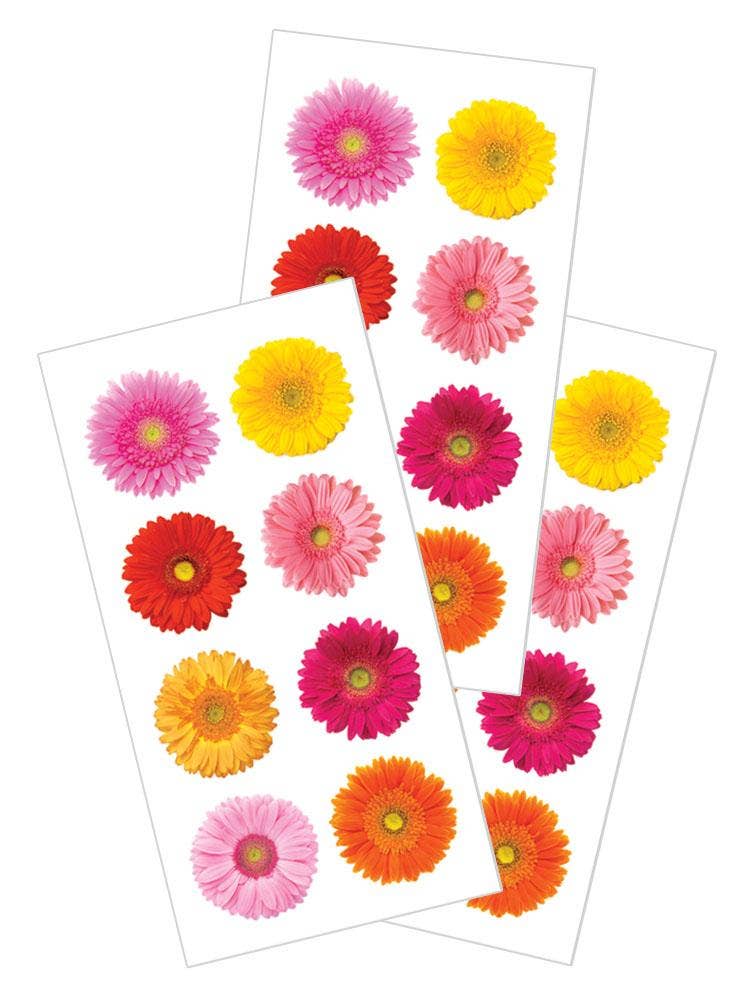 Gerbera Daisy Stickers