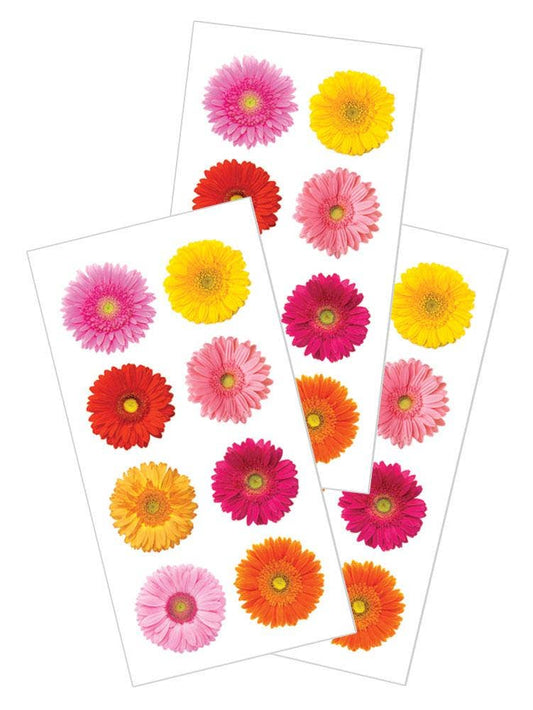 Gerbera Daisy Stickers