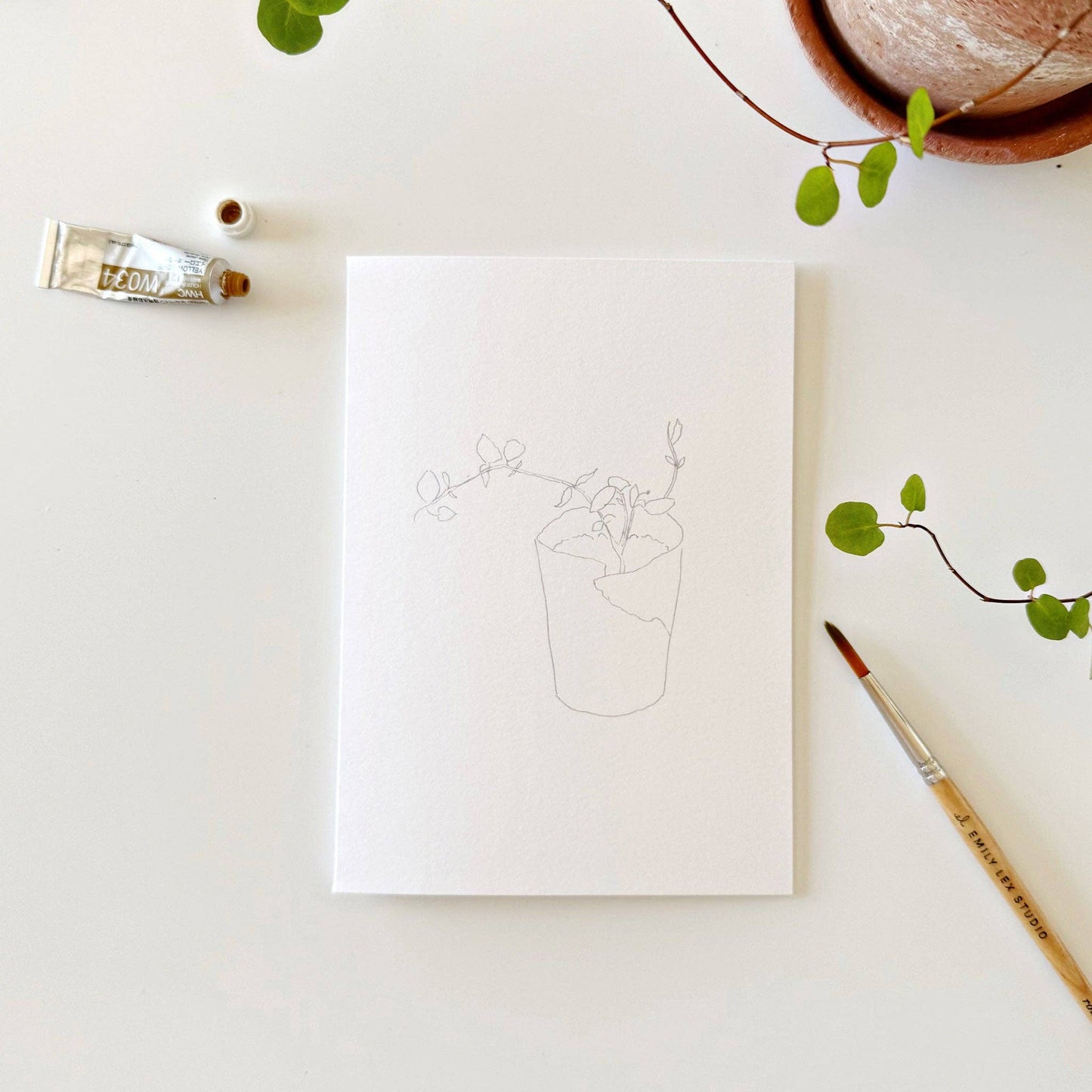 Potted plants paintable watercolor notecard set