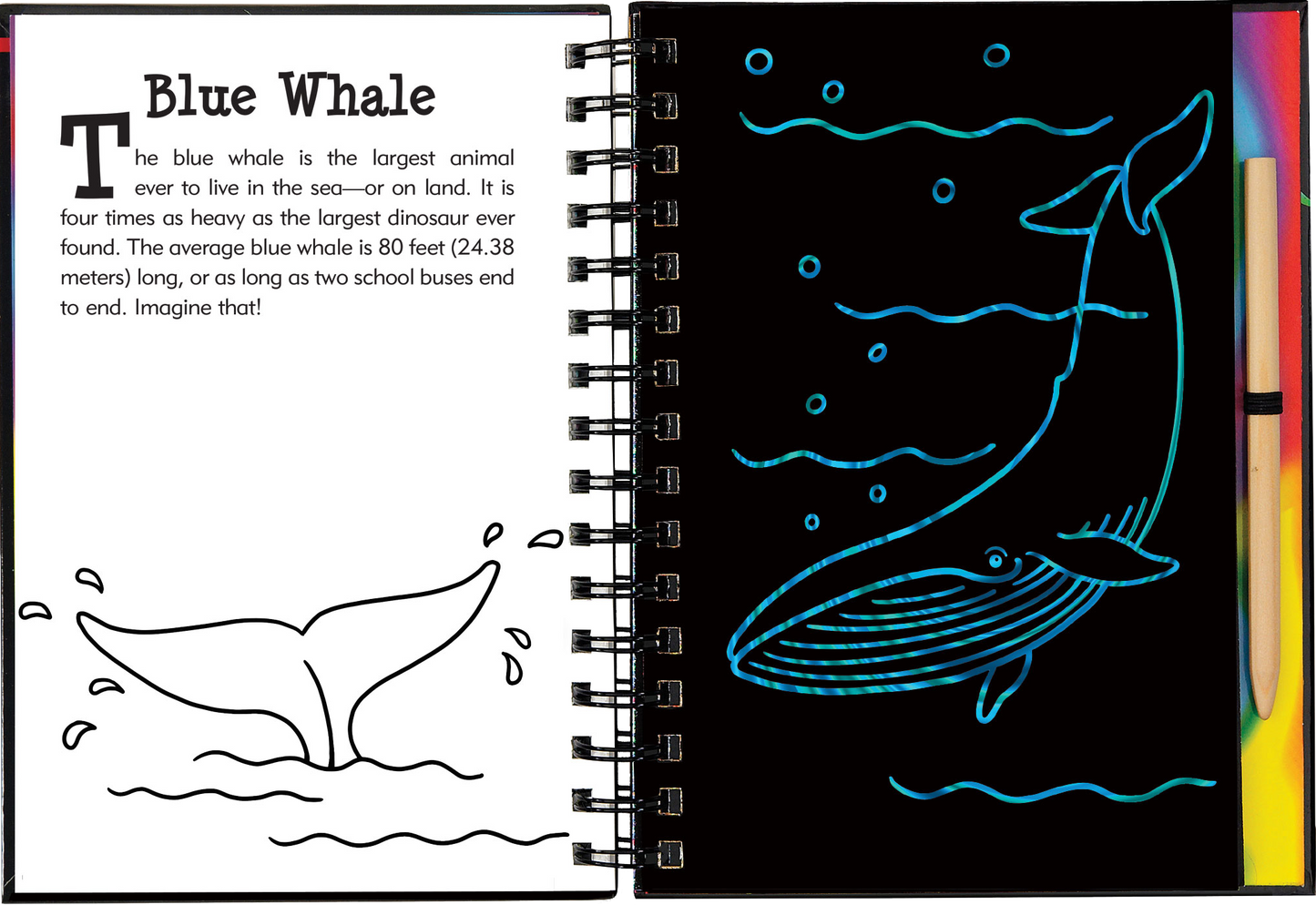 Scratch & Sketch™ Under the Sea (Trace Along)
