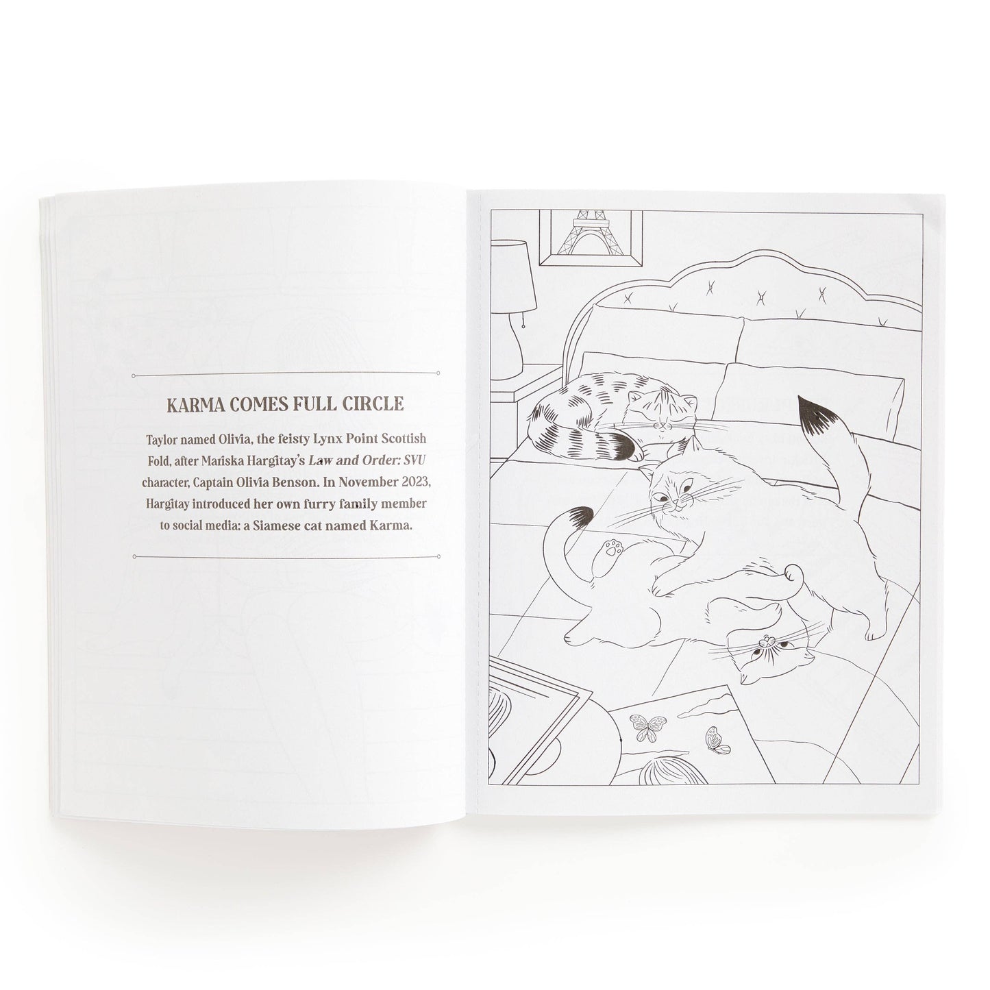 Karma is Three Cats Coloring Book