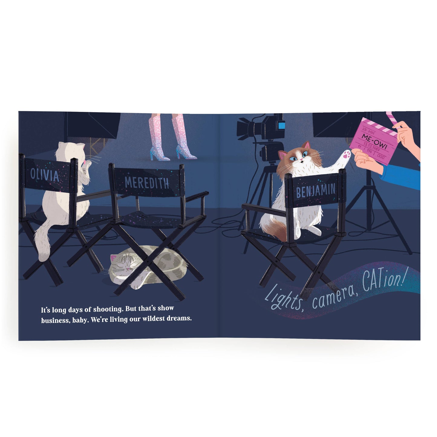 Karma Is Three Cats Picture Book