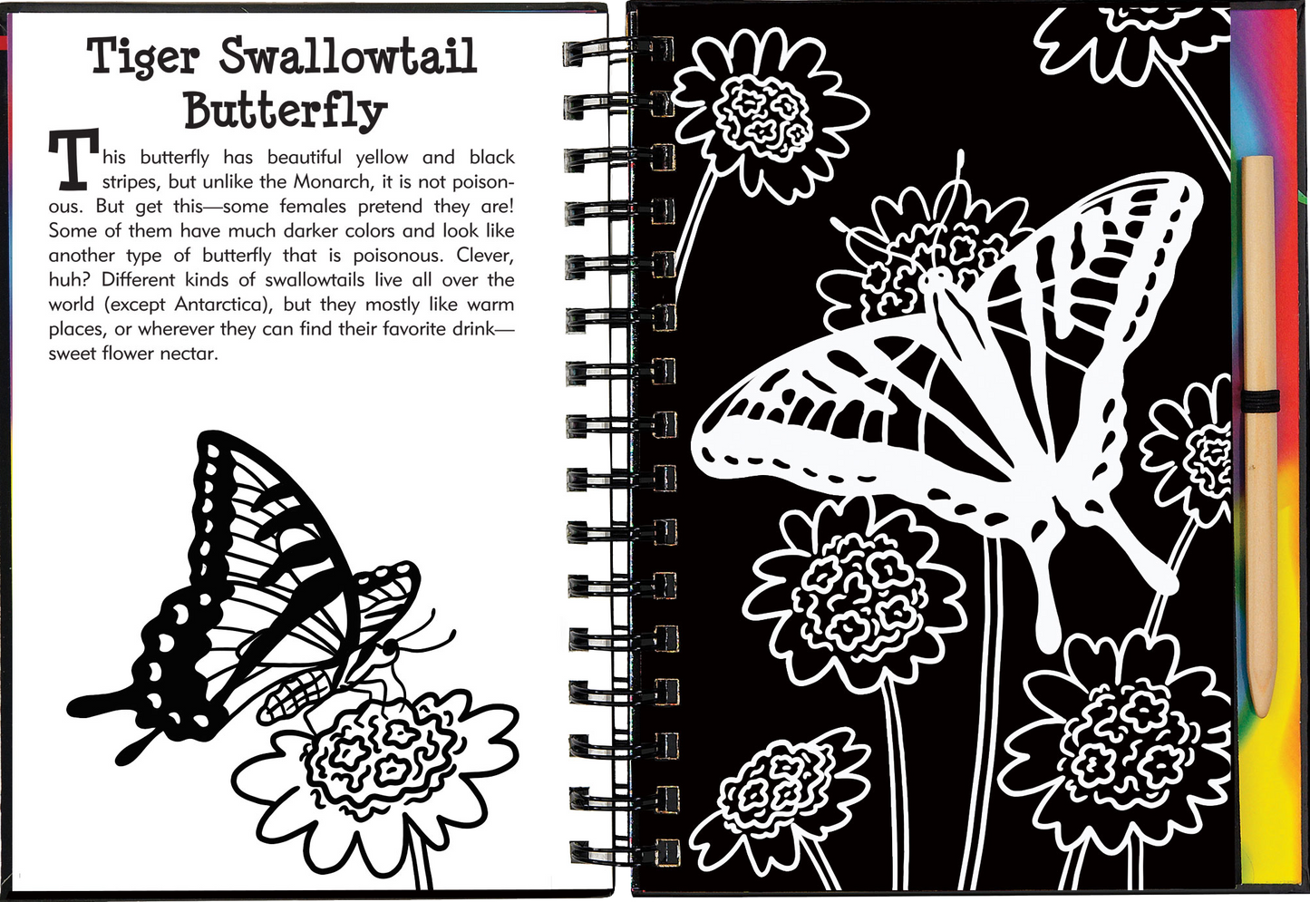 Scratch & Sketch™ Butterflies & Friends (Trace Along)